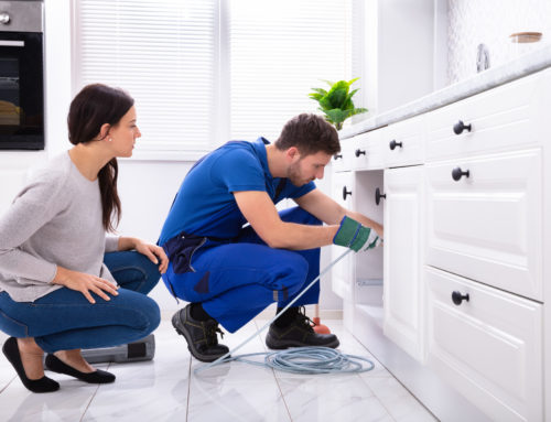 The Benefits of Professional Kitchen Cleaning Services