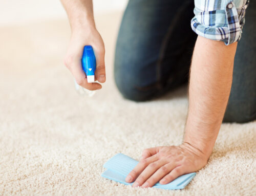 5 Carpet Cleaning Tips for Homeowners