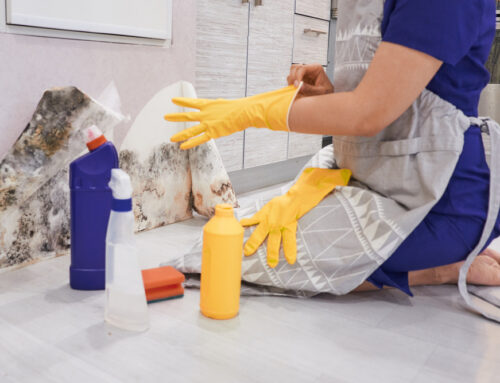 How to Keep Mold and Mildew at Bay: Proactive Prevention and Effective Cleaning Tips
