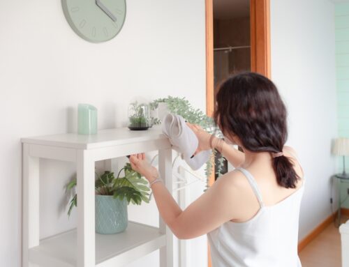 How to Keep Your Home Fresh Between Professional Cleanings