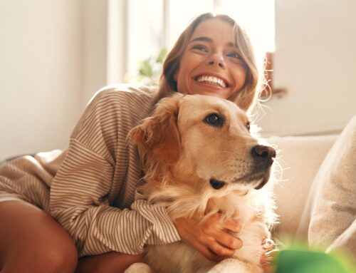 Essential Cleaning Tips for Pet-Friendly Homes