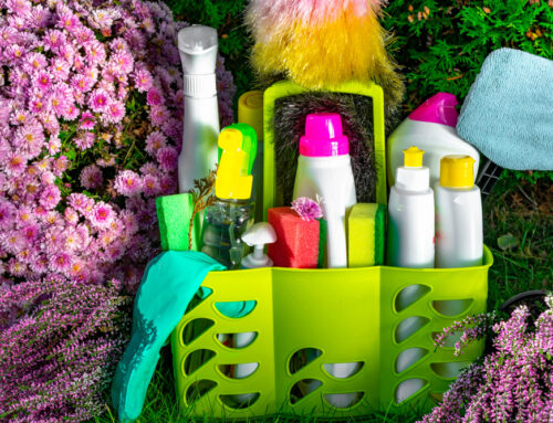 Why Waco Residents Are Switching to Eco-Friendly Cleaning This Fall